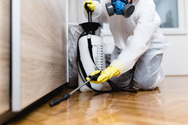 Best Emergency Pest Control  in Cera, AL