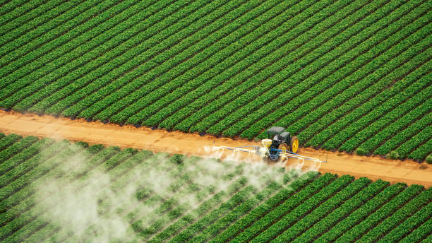 Insect Control in Calera, AL