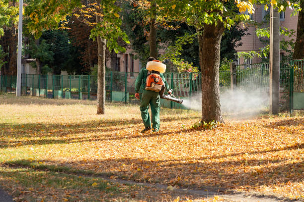 Best Mosquito Control Services  in Cera, AL