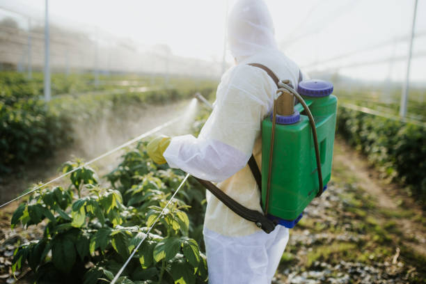 Professional Pest Control in Calera, AL